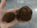 云南野生新鮮黑松露特級禮盒裝 Black Truffle塊菌高端食材蘑菇 黑松露3-4cm250g【茶色】 曬單實(shí)拍圖