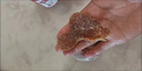 通用姜片即食胖東來(lái)紅糖姜片無(wú)添加純正宗陳皮黑糖泡水生酸甜姜塊 古法熬制  原汁原味 陳皮黑糖姜片【100·g*1袋】日常裝 曬單實(shí)拍圖