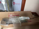 嘆為觀止發(fā)財樹客廳大盆栽開業(yè)送禮喬遷室內(nèi)綠植三桿步步高樹盆景大棵 粗桿步步高【1.8-2米】塑料福盆 含盆 曬單實拍圖