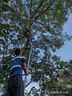 AOC4g太陽(yáng)能攝像頭室外無(wú)電無(wú)網(wǎng)終身免費流量免插電手機遠程高清監控器家用戶(hù)外360度無(wú)死角全景夜視 超高清畫(huà)質(zhì)【免流量】無(wú)電無(wú)網(wǎng)可用-雙攝三畫(huà)面 曬單實(shí)拍圖
