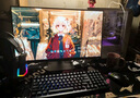 SANC盛色24.5英寸210Hz電競顯示器FastIPS 原生200Hz HDR400亮度 硬件低藍光 電腦屏幕 N50Pro5增強版 曬單實拍圖
