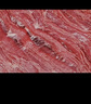鮮京采 谷飼純肉牛肉餅1.44kg（12片） 漢堡餅牛肉餡 早餐 京東自有品牌 曬單實(shí)拍圖