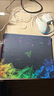 雷蛇（Razer）游戲鼠標(biāo)墊超大號動漫創(chuàng)意電腦鍵盤個性定制鎖包防滑邊網(wǎng)咖墊 MWY-雷蛇01 300x250mm x 3mm 曬單實拍圖