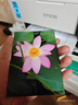 愛普生（EPSON）L8168 L8188 L8058 L18058 L805 家用照片打印機(jī)復(fù)印掃描自動雙面6色噴墨A4無線WIFI影樓照相館A3+ 【A4推薦 性價比款】L8168（6色影樓級別） 曬單實拍圖