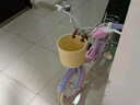 奧仕龍x迪士尼聯(lián)名自行車兒童3-6歲小孩單車4-8歲公主款兒童自行車 冰雪奇緣-艾莎【后座版】禮包 12寸 適合80-90cm 曬單實拍圖