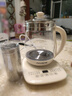 九陽（Joyoung）1.5L養(yǎng)生壺 0膠水煮茶器 316L不銹鋼電燒水壺 保溫花茶壺 帶濾網(wǎng) WY303 曬單實拍圖