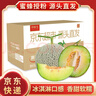 京鮮生蜜蜂授粉牛三蜜瓜網(wǎng)紋瓜 單果2斤起 凈重8-9斤 2-4粒裝源頭直發(fā) 曬單實(shí)拍圖