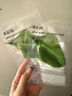 阿彼芙（ABIB）Abib小綠葉弱酸性魚(yú)腥草面膜10片裝敏肌保濕舒緩修護生日禮物女生 曬單實(shí)拍圖