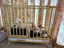 鉑吶苓狗籠子大型中型犬室內(nèi)帶廁所金毛薩摩耶邊牧拉布拉多寵物狗屋圍欄 【六面管加粗13mm】70*52*61cm 曬單實拍圖