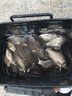 川澤短子線(xiàn)雙鉤升級金袖魚(yú)鉤成品綁好套裝淺水野釣防纏繞海夕鉤鯽魚(yú)鉤 金袖有刺32cm【鉤3/4線(xiàn)0.4/0.6】 子線(xiàn)雙鉤20付/盒 曬單實(shí)拍圖