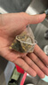 內(nèi)廷上用北京同仁堂回奶寶山楂麥芽茶茯苓回奶茶甘草桑葉魚腥草150g 曬單實拍圖