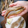 美加佳南美白蝦無(wú)冰凈重3斤 規格40/50 單凍大蝦 家庭聚餐  海鮮水產(chǎn) 曬單實(shí)拍圖