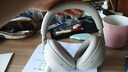 索尼（SONY）WH-1000XM6 頭戴式無線降噪耳機(jī) AI智能降噪 鉑金銀 高考祝福禮物 曬單實(shí)拍圖