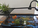 闊庭（KUOTING）魚(yú)缸水族箱生態(tài)桌面魚(yú)缸新款懶人魚(yú)缸過(guò)濾制氧一體機黑色【大號】 曬單實(shí)拍圖