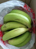 麗雯廣東茂名【高州香蕉】香甜2025新鮮banana特產(chǎn)青蕉 高州香蕉5斤 曬單實(shí)拍圖