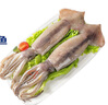 海鼎紀(jì)鮮凍整只大魷魚2斤 200-300g/條  燒烤火鍋 海鮮 遠(yuǎn)洋捕撈 曬單實(shí)拍圖