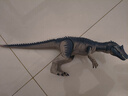 Jurassic World生日禮物侏羅紀(jì)世界哈蒙德大型收藏系列異特龍恐龍仿真模型JCG13 曬單實拍圖