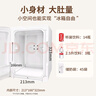 澳柯瑪車載冰箱12L宿舍租房迷你小冰箱中藥母乳美妝儲(chǔ)存冷藏保溫箱戶外 曬單實(shí)拍圖
