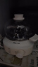 小熊（Bear）煮蛋器 蒸蛋器 自動斷電小型不銹鋼早餐神器 旋鈕定時(shí) 雙層蒸煮雞蛋ZDQ-K14E1 曬單實(shí)拍圖