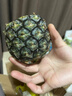 金鉆鳳梨17號(hào)海南新鮮水果無眼菠蘿熱帶水果當(dāng)季 1枚凈重1-1.5斤(試吃款) 曬單實(shí)拍圖