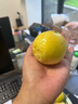 京鮮生欽蜜9號黃金百香果 5斤單果70g+/25-35個(gè)  生鮮水果 源頭直發(fā) 曬單實(shí)拍圖