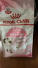皇家幼貓貓糧 幼貓奶糕 K36 通用糧 4-12月 2KG 曬單實(shí)拍圖