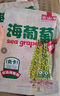 云山半鹽漬海葡萄100g*3即食兒童涼拌菜魚(yú)子醬火鍋商家用贈6種蘸料海藻 曬單實(shí)拍圖