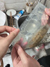 海蘊極鮮【活鮮】鮮活皮皮蝦 新鮮蝦爬子瀨尿蝦爬爬蝦燒烤食材 500g(凈重)  12-15只左右/斤 曬單實(shí)拍圖