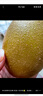 佳沛（zespri）新西蘭  陽(yáng)光金果6粒 單果約77-103g  源頭直發(fā)  獼猴桃 中秋禮盒 曬單實(shí)拍圖