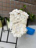 種蘑菇蘑菇菌包種植包兒童金針菇盆栽可食用Diy養(yǎng)蘑菇菌包家庭裝 【禮盒裝】秀珍菇-送噴壺 【兒童趣味丨輕松養(yǎng)活丨可食用】 曬單實(shí)拍圖