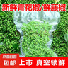 鮮青花椒真空冷凍保鮮花椒重慶江津區(qū)新鮮青花椒鮮藤椒鮮青麻椒 350g*5袋 曬單實(shí)拍圖