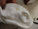 貓人6雙女士襪子女100%純棉防臭抑菌白色夏季短襪網(wǎng)眼透氣船襪女襪 曬單實(shí)拍圖