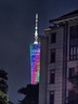 牧馬人2025新款包角配件帶靠背多功能臺釣競技釣魚箱垂釣保溫免安裝釣箱 【大禮包】+五件套+支架 27L 曬單實拍圖