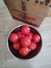 新鮮沙瓤大番茄生吃西紅柿減肥早餐即食新鮮蔬菜生鮮單果＞100g 家庭裝 4斤 帶箱 曬單實(shí)拍圖