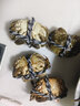 【活蟹】蟹叁鉗莊大閘蟹去繩足重2.3-2.6兩 12只鮮活六月黃鮮活螃蟹水產(chǎn)禮盒源頭直發(fā) 曬單實(shí)拍圖