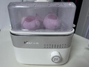 小熊（Bear）電蒸鍋 煮蛋器 小型蒸蛋器2-3人用  自動(dòng)斷電 智能預約定時(shí) 煮雞蛋神器早餐一體機ZDQ-D06T1 曬單實(shí)拍圖