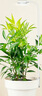 三思京東集采JC系列全光譜植物燈補光燈國家補貼植物生長盆夾燈-5W 曬單實拍圖