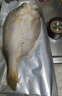 黃小漁南美黃魚鲞450g/2條 三去大黃魚黃花魚生鮮 海鮮水產(chǎn)燒烤夜宵魚類 曬單實拍圖