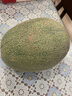 山東哈密瓜新鮮脆甜當(dāng)季西州蜜蜜瓜  孕婦兒童皆宜 3-3.5斤 曬單實(shí)拍圖