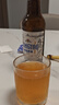 青島啤酒（TsingTao）全麥白啤 原麥汁濃度10°P  500ml*12瓶 整箱裝 中秋節送禮 曬單實(shí)拍圖