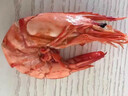 海仙津九節(jié)蝦干即食大蝦干烤蝦干對蝦干特大斑節(jié)蝦干大烤蝦海產(chǎn)干貨 【大號款】九節(jié)蝦干250g 35-45只 曬單實拍圖