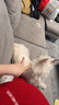 愛肯拿（ACANA）狗糧 鴨肉梨成犬幼犬 低敏去淚痕 全價通用原裝進(jìn)口糧2kg效期26/5 曬單實拍圖