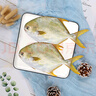 翔泰 海南金鯧魚凈重900g 2條裝  魚類生鮮 火鍋食材 海鮮水產(chǎn) 中秋 曬單實(shí)拍圖