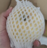 京地達山東煙臺棲霞奶油蘋(píng)果 凈重4.5斤 單果約230g煙臺蘋(píng)果源頭直發(fā) 曬單實(shí)拍圖
