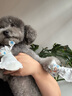 巨奇嚴(yán)選 鞋子除臭劑360ml*3瓶銀離子消毒殺菌腳臭噴霧球鞋防臭鞋襪 曬單實(shí)拍圖