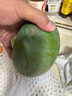 京鮮生 攀枝花凱特芒果 凈重4.5斤 單果300g+ 生鮮水果源頭直發(fā) 曬單實(shí)拍圖