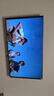 Vidda X Mini 2026款 海信電視75英寸 超高刷QD-Mini LED 以舊換新家電國(guó)家補(bǔ)貼游戲液晶AI電視機(jī)75VX3Q 曬單實(shí)拍圖