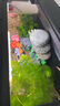 當貝智能生態(tài)魚(yú)缸1Ultra 一體缸自循環(huán)雙過(guò)濾AI托養懶人家用桌面魚(yú)缸 曬單實(shí)拍圖