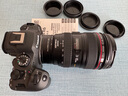 佳能（Canon）EOS R6 Mark II 全畫幅微單數(shù)碼相機(jī)R6二代 單機(jī)身 （約40張每秒連拍/6K超采樣4K短片） 曬單實(shí)拍圖
