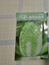 壽禾 山東膠州大白菜種子苗秋季蔬菜籽 山東膠州大白菜種子10g*3袋 曬單實(shí)拍圖